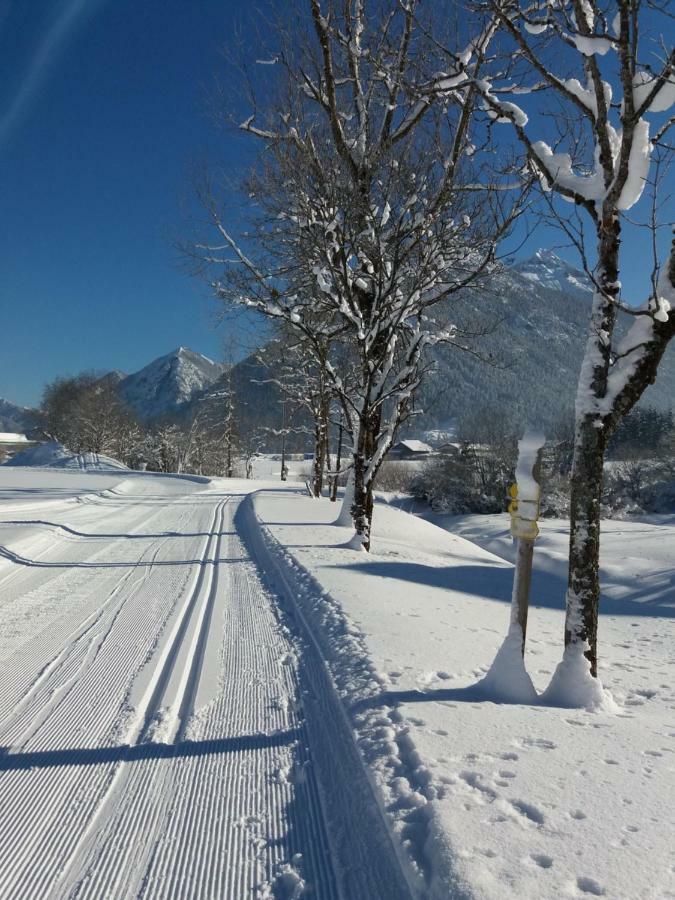 Pension Alpengruss Heiterwang Kültér fotó